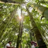 Principales noticias de Ecuador hoy -15 de agosto de 2024
