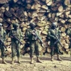 El Ejército incautó madera ilegal en Sucumbíos