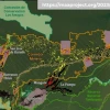 La minería ilegal ha devastado 30,800 hectáreas en la Amazonía peruana