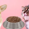 ¿Cuánto gastan los ecuatorianos cada año en su mascota?