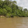 Los ríos de Ecuador están contaminados con coliformes