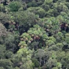 Construcción de acceso al campo Ishpingo en el Parque Yasuní tiene un 38% de avance y genera observaciones