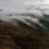 El Podocarpus, un paraíso verde entre Zamora Chinchipe y Loja