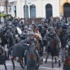 La polémica compra de 150 caballos policiales