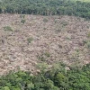 Equipo de Abelardo de la Espriella advierte aumento de la deforestación en parques naturales de Colombia
