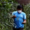 La vainilla ecuatoriana tuvo un ‘boom’ de exportaciones en 2021