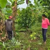 Familias awajún restauran casi 60 hectáreas de bosque en Amazonas