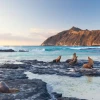 Parque Nacional Galápagos cumple 60 años en “buen estado de salud”