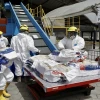 Ecuador destruyó 450 toneladas de droga durante 2023