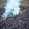Incendio en el Parque Nacional Cayambe-Coca fue controlado