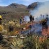 Más de 170 bomberos combaten incendio forestal en El Ángel