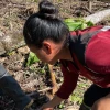 210 productores de Napo se benefician de kits de maíz de alto rendimiento