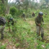 El avance del narcotráfico amenaza a 270 comunidades indígenas en Perú