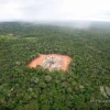 8,1 kilómetros tendrá el 'acceso ecológico' que construye Petroamazonas en el ITT dentro del Parque Nacional Yasuní