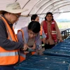 Auro Metals reporta nueva intersección de 625 metros con oro y cobre en en Zamora Chinchipe