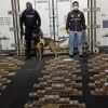 200 kilos de cocaína fueron incautados en cajas de banano; el destino era Portugal