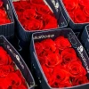 Con flores de Ecuador y Colombia como protagonistas se festeja el Día de Sant Jordi 