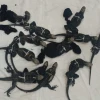 Capturan en Guayaquil a tres personas por tráfico ilegal de iguanas de Galápagos