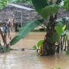 346 familias de Pastaza están afectadas tras cinco días de intensas lluvias