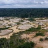 Perú figura entre los países más afectados por la deforestación amazónica en 2025