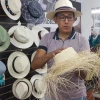 Maní, café y pitahaya, en proceso de registro
