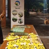 El jaguar fue homenajeado en el Parque Nacional Yasuní