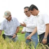 Las tres plagas que tomaron por sorpresa al Ecuador