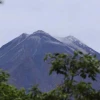 Volcán Reventador emana columna de vapor y ceniza de 1 000 metros