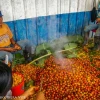 El sabor de la chonta llega por medio de la chicha