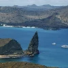 Descubiertas 30 especies inéditas de invertebrados marinos en Galápagos