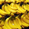 Ecuador exportó 274.39 millones de cajas de banano 