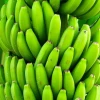 EE.UU. analiza reducir aranceles a café y banano