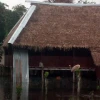 El desbordamiento del río Napo afecta a poblaciones aledañas