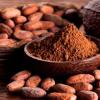 El precio de cacao se acerca a los $ 10 mil por tonelada 