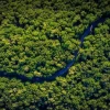 Colombia invertirá $ 170 millones para conectar la Amazonía con fibra óptica