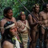 CorteIDH condenó a Ecuador por violar derechos de pueblos indígenas en aislamiento