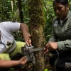 Mujeres kichwas del Cuyabeno monitorean la fauna silvestre