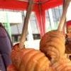 Chontacuro, el gusano de la Amazonía ecuatoriana 
