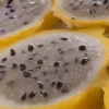 Las exportaciones de pitahaya son golpeadas por el rebrote de Covid-19 en China