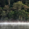 El 68% de las áreas de conservación en la Amazonía está en riesgo
