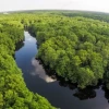 La Amazonía, otra opción de Ecuador para un canje de deuda por naturaleza