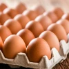 ¿Por qué ha aumentado el precio de los huevos en Ecuador?