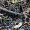 Petroecuador sumó un nuevo derrame a su récord