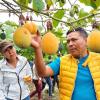 La granadilla de Íntag se posiciona en Europa