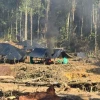 Minería aurífera disparó la deforestación amazónica en 2025
