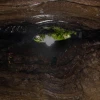 La Cueva de los Tayos atrae renovado interés científico