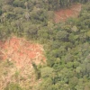 Hundimientos en la selva de Pastaza serán investigados desde el aire