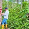 De la Amazonía a los parques eólicos el recorrido de la balsa ecuatoriana