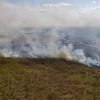 La deforestación de la Amazonía brasileña se disparó en febrero