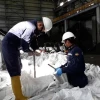 Se tomaron muestras de carga de cobre antes de exportación